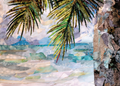 Tranquil Tide 5x7 Greeting Card