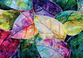 Chromatic Canopy 5x7 Greeting Card